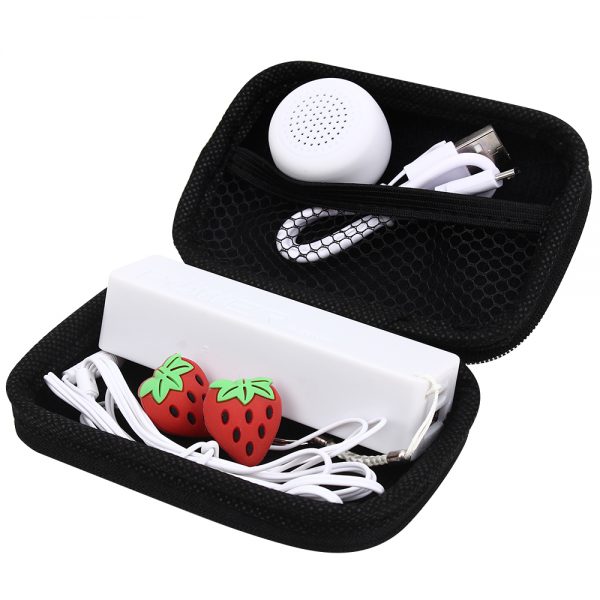 Connectivity kit
